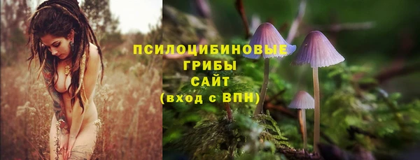 a pvp Каменногорск