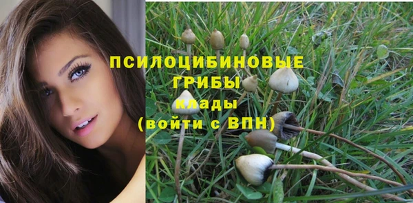 a pvp Каменногорск