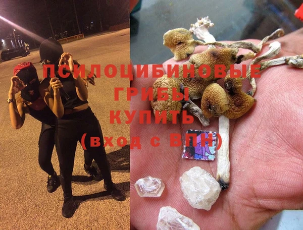 a pvp Каменногорск