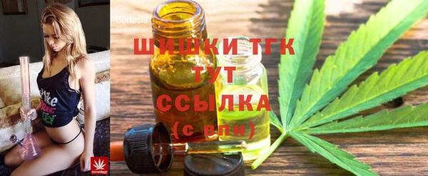 эйфоретик Каменка
