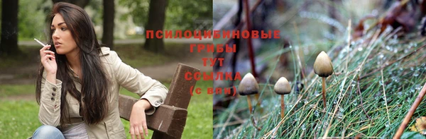 эйфоретик Каменка