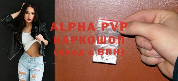 a pvp Каменногорск